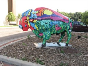 heartbeat bison fargo